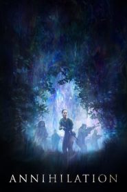 Annihilation