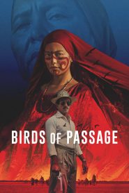Birds of Passage