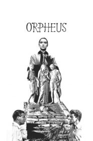 Orpheus