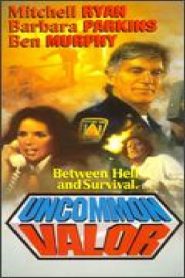 Uncommon Valor
