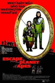 Escape from the Planet of the Apes
