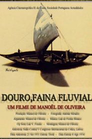Working on the Douro River