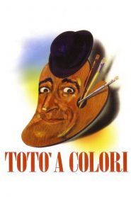 Toto in Color