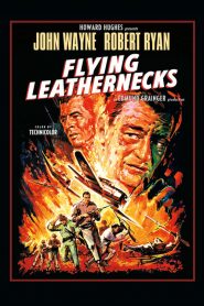 Flying Leathernecks