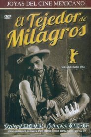 El tejedor de milagros