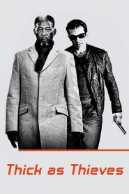 Thick as Thieves