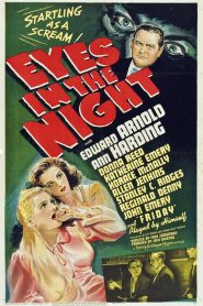 Eyes in the Night
