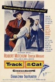 Track of the Cat