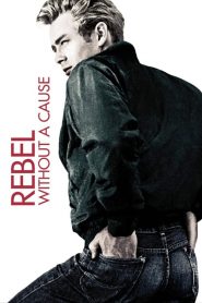 Rebel Without a Cause