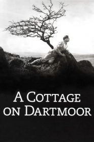 A Cottage on Dartmoor