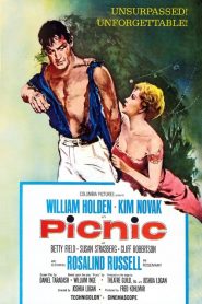 Picnic