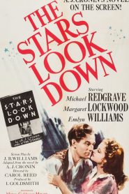 The Stars Look Down