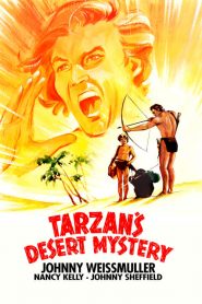 Tarzan’s Desert Mystery