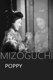 The Poppy