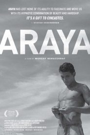 Araya