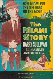 The Miami Story