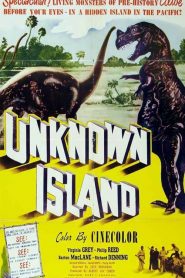 Unknown Island