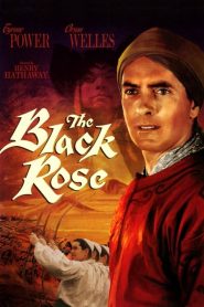 The Black Rose