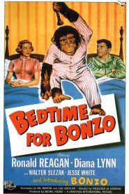Bedtime for Bonzo