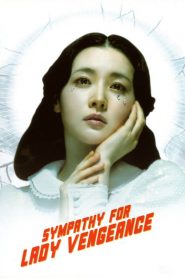 Sympathy for Lady Vengeance
