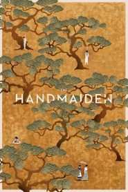 The Handmaiden