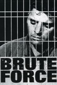 Brute Force