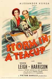 Storm in a Teacup