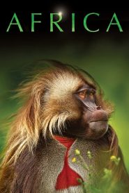 Africa: فصل 1