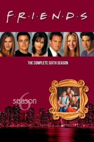 Friends: فصل 6