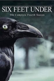 Six Feet Under: فصل 4