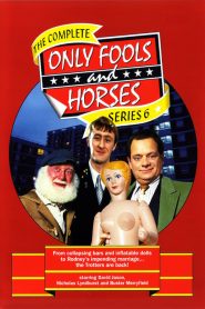 Only Fools and Horses: فصل 6
