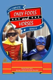 Only Fools and Horses: فصل 8