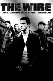 The Wire: فصل 1