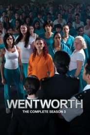 Wentworth: فصل 3