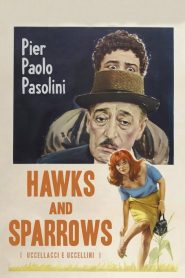 Hawks and Sparrows