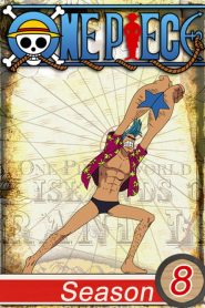 One Piece: فصل 8
