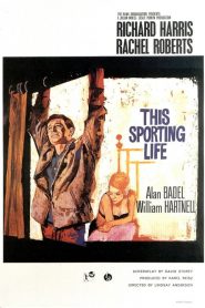This Sporting Life