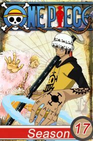 One Piece: فصل 17