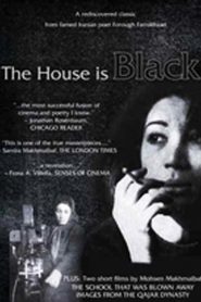 The House Is Black