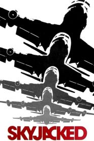 Skyjacked