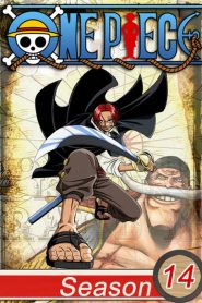 One Piece: فصل 14