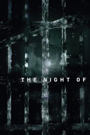 The Night Of: فصل 1