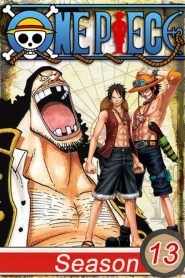 One Piece: فصل 13