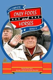 Only Fools and Horses: فصل 9