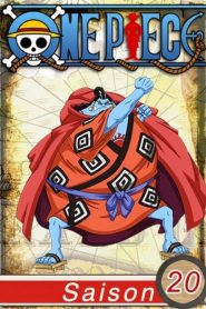 One Piece: فصل 20