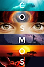 Cosmos: فصل 1