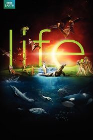 Life: فصل 1