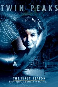 Twin Peaks: فصل 1