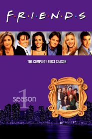 Friends: فصل 1