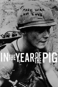 In the Year of the Pig